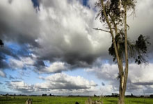 400选号是什么意思啊怎么用英语说一下,400选号大厅