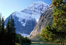 400选号是什么意思啊怎么用英语说一下,400选号大厅