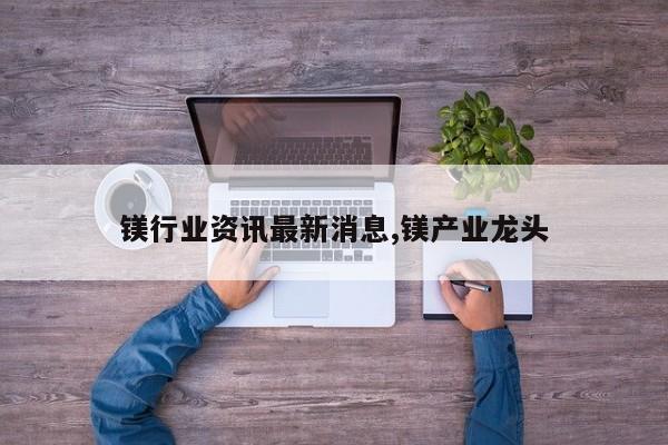 镁行业资讯最新消息,镁产业龙头