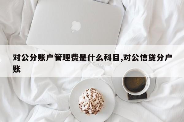 对公分账户管理费是什么科目,对公信贷分户账