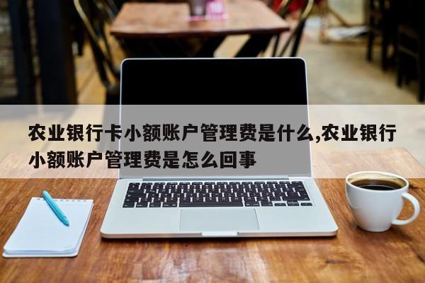 农业银行卡小额账户管理费是什么,农业银行小额账户管理费是怎么回事