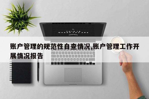 账户管理的规范性自查情况,账户管理工作开展情况报告